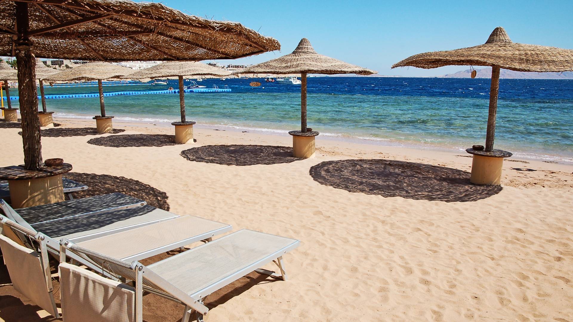 SPECIAL 14 daagse rondreis Cairo Nijlcruise en Rode Zee  1